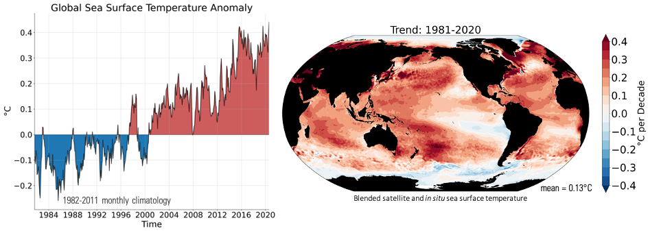 Global Sea Surface Temperature Anomalies